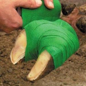 Hoof care