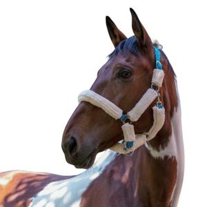 510015065-halter-for-horse-norton-full-faux-sheepskin-electric-blue-sheep-ecru
