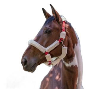 510015235-halter-for-horse-norton-full-faux-sheepskin-red-sheep-ecru