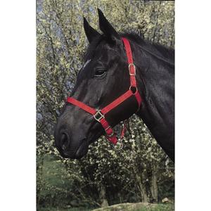 510031003-halter-for-horse-riding-world-red