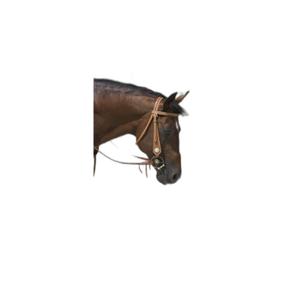 802063317-bridles-for-horses-westride-franck-perret-aurora-hazelnut-horse