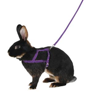 81760-harness-for-rodents-kerbl-agility-purple-violet-m