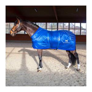 08500100-acupressure-mat-for-the-back-accuhorsemat-original-blue
