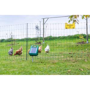 292420-electrified-double-point-poultry-netting-ako-premium-green-50-m-x-106-cm