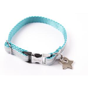 3008313-dog-collar-alter-ego-new-disco-turquoise
