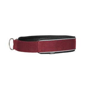 340248-dog-collar-back-on-track-charlie-bordeaux