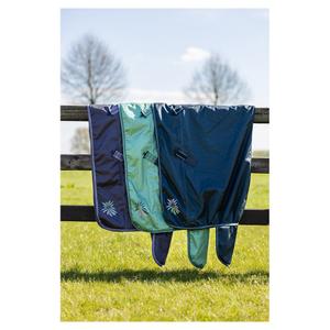product/b/r/br-equitation_380243-p1190-95_cadet_3.jpg
