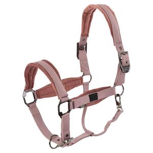 432341-p120-840-nylon-halter-br-equitation-julia-nirvana