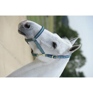 41230-02-pony-bridle-bucas-dublin-striped-navy-pony