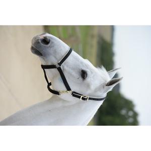 41230-64-pony-bridle-bucas-dublin-black-silver-pony