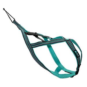 cy6038-dog-harness-cani-gear-olympia-black-turquoise
