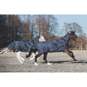 product/c/a/catago_85096599_2.jpg