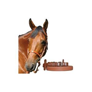 111107-marron-jawless-stroke-clamp-chetak-brown-cob