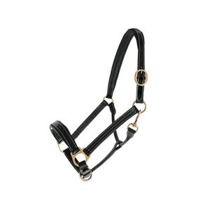 119502-noir-leather-halter-for-horse-chetak-bright-black