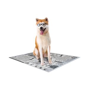 c6028721-dog-mat-croci-canifrance-super-nappy-newspaper-x60-white-one-size