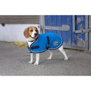 4090046-dog-blanket-diego-louna-polyfun-bright-blue-navy-border