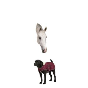 4090303-fleece-dog-blanket-diego-louna-teddy-bordeaux