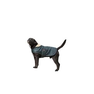 4090308-fleece-dog-blanket-diego-louna-teddy-green