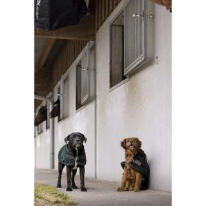 4090312-nylon-dog-blanket-diego-louna-teddy-black