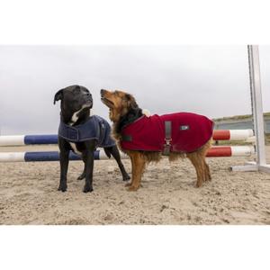 4090317-nylon-dog-blanket-diego-louna-teddy-marine