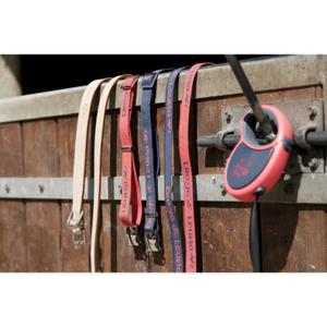 409250040-nylon-dog-collar-diego-louna-coral-anthracite-40-cm-x-2-cm