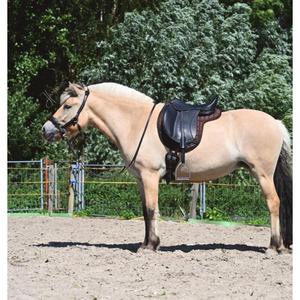 product/e/d/edix-saddles_1.0906.6505004_brown_1.jpg