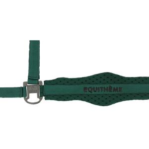510261009-halter-for-horse-equitheme-3d-mesh-green