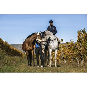 product/e/q/equitheme_963_212_073_ambi8.jpg