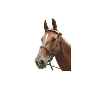 159000-marron-riding-bridles-eric-le-tixerant-headset-brown-full