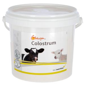product/g/l/globigen_15993_1.jpg