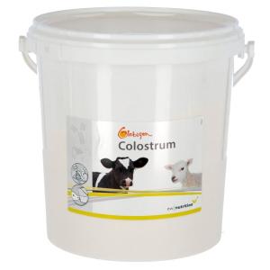 product/g/l/globigen_15994.jpg