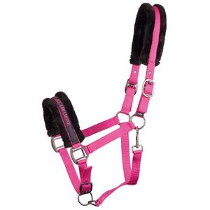 31000055-fuchsia-halter-for-horse-harry-s-horse-lyrics-quotes-fuchsia