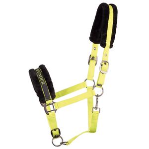 31000055-lime-halter-for-horse-harry-s-horse-lyrics-quotes-lime