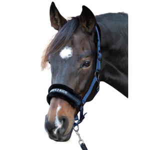 31000055-navy-halter-for-horse-harry-s-horse-lyrics-quotes-navy