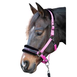31000055-roze-halter-for-horse-harry-s-horse-lyrics-quotes-roze