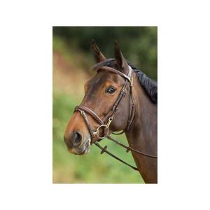 hfi003br-riding-bridles-hfi-functional-brown