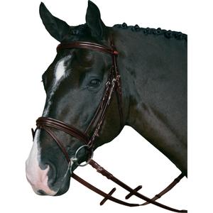product/h/o/horseguard_31572_1.jpg