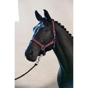 product/h/o/horseguard_41031044_koral_2.jpg