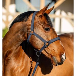 dhrx01-b000-co-halter-and-lead-rope-set-for-horse-horseware-amigo-navy
