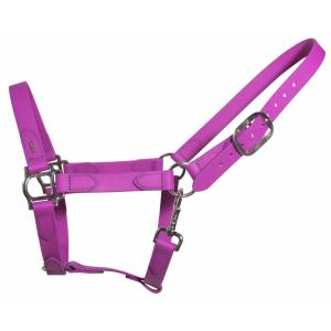 k325-pur-chr-halter-for-horse-karlslund-purple-chrome-36x27x5-cm