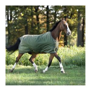 0467121252800-outdoor-horse-blanket-kavalkade-montreal-100g-geen