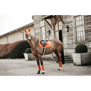 42579-45-p-saddle-pad-for-horses-kentucky-orange-pony