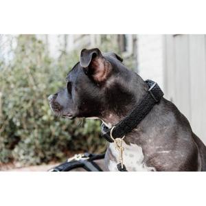 product/k/e/kentucky_42648-01-xxs_3.jpg