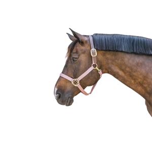 42665-10-f-halter-for-horse-kentucky-breakaway-antique-pink-full