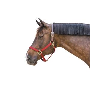 42665-17-f-halter-for-horse-kentucky-breakaway-bordeaux-full