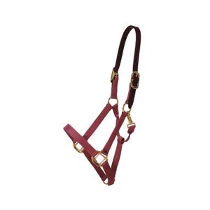 42665-17-p-nylon-horse-halter-kentucky-breakaway-bordeaux