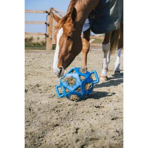 82153-62-l-hay-bale-kentucky-royal-blue-one-size