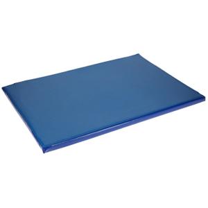 16413-disinfecting-shoe-mat-kerbl-blue-55x45-cm