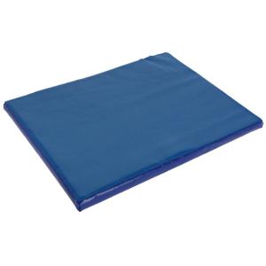 16490-disinfecting-shoe-mat-kerbl-blue-85x60-cm