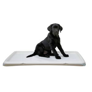 80543-puppy-toilet-kerbl-cream-60x90-cm